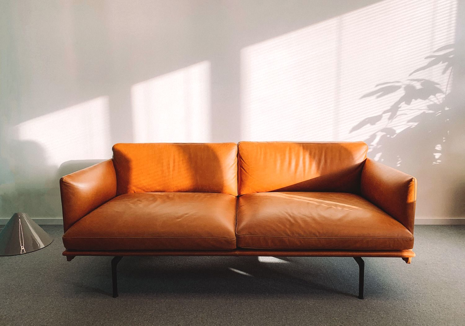 Cognac leather sofa in a sunlit room